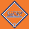 University of Illinois Cleaning Cloth