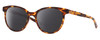 Profile View of Costa Del Mar Isla Designer Polarized Reading Sunglasses with Custom Cut Powered Smoke Grey Lenses in Shiny Amber Brown Tortoise Havana Gold Ladies Panthos Full Rim Acetate 54 mm