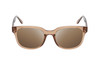 Front View of BCBG BAR104BL Unisex Pantho Sunglasses in Brown Crystal 52mm with NON-Polarized Brown Gradient Lenses