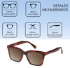 Dimensions and Measurements Illustration of Prive Revaux Joels Designer Polarized Sunglasses with Custom Cut Amber Brown Lenses in Brown Tortoise Havana Unisex Square Full Rim Acetate 54 mm