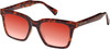 Profile View of Prive Revaux Joels Designer Polarized Sunglasses with Custom Cut Red Mirror Lenses in Brown Tortoise Havana Unisex Square Full Rim Acetate 54 mm