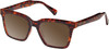 Profile View of Prive Revaux Joels Designer Polarized Reading Sunglasses with Custom Cut Powered Amber Brown Lenses in Brown Tortoise Havana Unisex Square Full Rim Acetate 54 mm