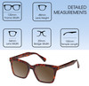 Dimensions and Measurements Illustration of Prive Revaux Joels Designer Polarized Reading Sunglasses with Custom Cut Powered Amber Brown Lenses in Brown Tortoise Havana Unisex Square Full Rim Acetate 54 mm