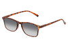 Perry Ellis PEBX57 Unisex Panthos Designer NON-polarized Sunglasses in Gloss Tortoise Havana Marble 50mm CHOOSE LENS COLOR with Custom Cut Grey Gradient Lenses