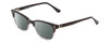 Profile View of Ernest Hemingway H4819 Designer Polarized Reading Sunglasses with Custom Cut Powered Smoke Grey Lenses in Black Clear Grey Gradient Ladies Cateye Full Rim Acetate 52 mm