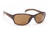 Coyote™ BP-14 Polarized Bi-focal Readers in Tortoise