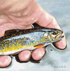 Catch & Release Artwork 240-68a-5 Micro Fiber Cleaning Cloth