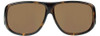 Jonathan Paul Fitovers Eyewear X-Large Pilot in Tortoise & Amber AV002A