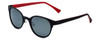 Reptile Designer Polarized Sunglasses Basilisk in Matte-Black with Flash Mirror Lens