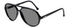 Ion SC20 by Bolle Aviator Sunglasses in Black with Polarized Grey Lens