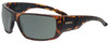 Profile View of Smith Optics Transfer XL Designer Polarized Reading Sunglasses with Custom Cut Powered Smoke Grey Lenses in Matte Tortoise Brown Gold Unisex Sport Full Rim Acetate 67 mm