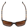 Top View of Smith Shoutout Sunglasses in Vintage Tortoise Gold/CP Glass Polarized Brown 57mm