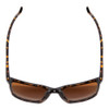 Top View of Smith Shoutout Sunglasses in Vintage Tortoise Gold/CP Glass Polarized Brown 57mm