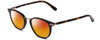 Profile View of GANT GA3115 Designer Polarized Sunglasses with Custom Cut Red Mirror Lenses in Black Gun Metal Tortoise Havana Brown Gold Unisex Round Full Rim Acetate 49 mm