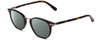 Profile View of GANT GA3115 Designer Polarized Reading Sunglasses with Custom Cut Powered Smoke Grey Lenses in Black Gun Metal Tortoise Havana Brown Gold Unisex Round Full Rim Acetate 49 mm