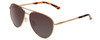 Profile View of Smith Layback Unisex Pilot Sunglasses Matte Gold/Polarized Brown Gradient 60mm