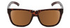Front View of Smith Lowdown 2 Unisex Classic Sunglasses in Tortoise Gold/Polarized Brown 55 mm