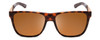 Front View of Smith Lowdown Steel Classic Sunglasses Dark Tortoise Gold/CP Polarize Brown 56mm