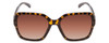 Front View of Smith Flare Women Sunglasses Vintage Tortoise Gold/Polarized Brown Gradient 57mm