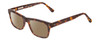 Profile View of Ernest Hemingway H4665 Designer Polarized Sunglasses with Custom Cut Amber Brown Lenses in Matte Tortoise Havana Brown Yellow Unisex Cateye Full Rim Acetate 53 mm