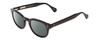 Profile View of Ernest Hemingway H4734 Designer Polarized Sunglasses with Custom Cut Smoke Grey Lenses in Gloss Black Unisex Cateye Full Rim Acetate 49 mm