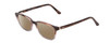 Profile View of Ernest Hemingway H4811 Designer Polarized Sunglasses with Custom Cut Amber Brown Lenses in Brown Tortoise Havana/Grey Crystal Layered Unisex Cateye Full Rim Acetate 53 mm