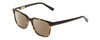 Profile View of Ernest Hemingway H4831 Designer Polarized Sunglasses with Custom Cut Amber Brown Lenses in Brown Yellow Tortoise Havana/Gloss Black Unisex Rectangle Full Rim Acetate 50 mm