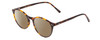 Profile View of Ernest Hemingway H4835 Designer Polarized Reading Sunglasses with Custom Cut Powered Amber Brown Lenses in Auburn Brown Yellow Tortoise Havana Ladies Round Full Rim Acetate 50 mm