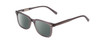 Profile View of Ernest Hemingway H4854 Designer Polarized Sunglasses with Custom Cut Smoke Grey Lenses in Grey Smoke Crystal  Unisex Cateye Full Rim Acetate 54 mm