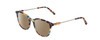 Profile View of Ernest Hemingway H4859 Designer Polarized Reading Sunglasses with Custom Cut Powered Amber Brown Lenses in Blue Rose Plum Yellow Tortoise Havana Silver Ladies Cateye Full Rim Acetate 50 mm