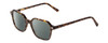 Profile View of Ernest Hemingway H4872 Designer Polarized Reading Sunglasses with Custom Cut Powered Smoke Grey Lenses in Brown Amber Tortoise Havana/Silver Accent Unisex Square Full Rim Acetate 50 mm