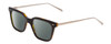 Profile View of Ernest Hemingway H4875 Designer Polarized Sunglasses with Custom Cut Smoke Grey Lenses in Gloss Black Amber Brown Tortoise Havana Layered/Patterned Gold Accent Unisex Cateye Full Rim Acetate 48 mm