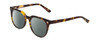 Profile View of Ernest Hemingway H4900 Designer Polarized Reading Sunglasses with Custom Cut Powered Smoke Grey Lenses in Gloss Brown Amber Tortoise Havana/Silver Accents Unisex Cateye Full Rim Acetate 52 mm