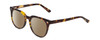 Profile View of Ernest Hemingway H4900 Designer Polarized Reading Sunglasses with Custom Cut Powered Amber Brown Lenses in Gloss Brown Amber Tortoise Havana/Silver Accents Unisex Cateye Full Rim Acetate 52 mm