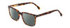 Profile View of Ernest Hemingway H4866 Designer Polarized Reading Sunglasses with Custom Cut Powered Smoke Grey Lenses in Brown Amber Tortoise/Silver Accent Unisex Cateye Full Rim Acetate 51 mm