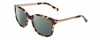 Profile View of Kate Spade GAYLA Designer Polarized Reading Sunglasses with Custom Cut Powered Smoke Grey Lenses in Camel Tortoise Havana Brown Ladies Cateye Full Rim Acetate 52 mm