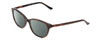 Profile View of Harley Davidson HD0523 Designer Polarized Reading Sunglasses with Custom Cut Powered Smoke Grey Lenses in Tortoise Havana Gold Brown Ladies Classic Full Rim Acetate 52 mm