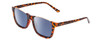 Profile View of Prive Revaux Cadiz Unisex Sunglasses Soft Tortoise Brown Gold/Polarize Blue 53mm