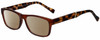 Profile View of Gotham Premium Flex 29 Designer Polarized Reading Sunglasses with Custom Cut Powered Amber Brown Lenses in Matte Brown Unisex Square Full Rim Stainless Steel 53 mm