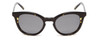 Front View of SITO SHADES NOW OR NEVER Women's Sunglasses Black Yellow Tortoise/Iron Gray 50mm