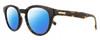 Profile View of CARRERA 252/S Designer Polarized Reading Sunglasses with Custom Cut Powered Blue Mirror Lenses in Havana Tortoise Gold Unisex Cat Eye Full Rim Acetate 50 mm