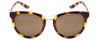 Front View of Smith Optics Bridgetown-MY3 Womens Sunglass Tortoise Havana Gold/Grey Green 54mm