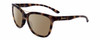 Profile View of Smith Optics Cavalier-MMH/G0 Designer Polarized Sunglasses with Custom Cut Amber Brown Lenses in Violet Purple Beige Tortoise Havana Gold Ladies Cat Eye Full Rim Acetate 55 mm