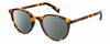 Profile View of Levi's Seasonal LV1005 Designer Polarized Sunglasses with Custom Cut Smoke Grey Lenses in Havana Tortoise Brown Gold Ladies Round Full Rim Acetate 50 mm