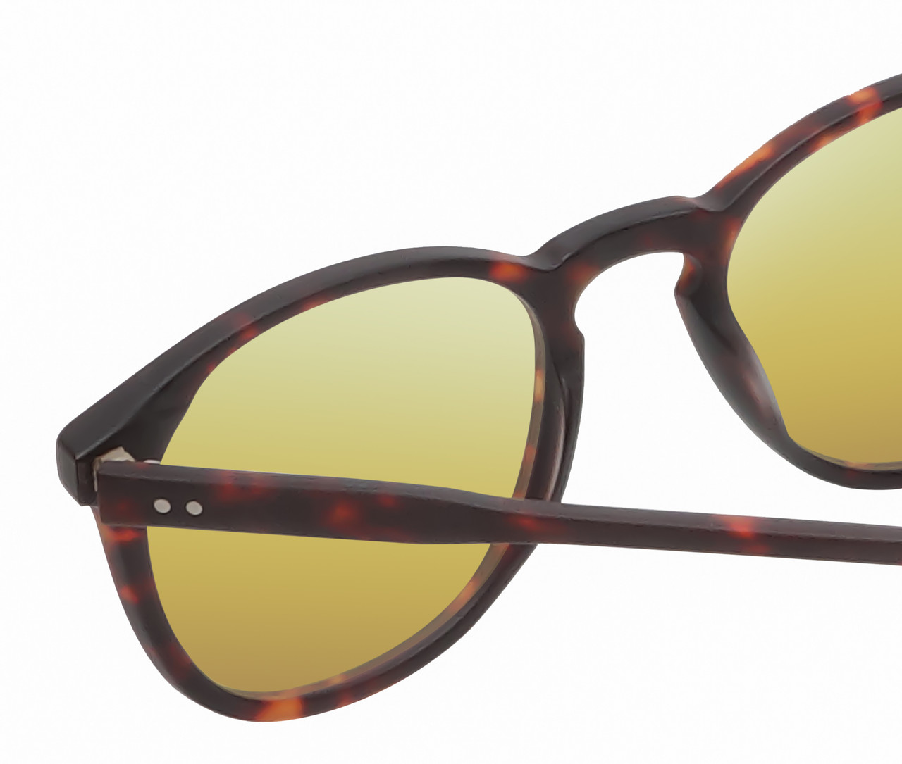 Close Up View of Reptile Larachelus Unisex Polarized Sunglasses Brown Tortoise Havana 50mm 4 Opt. with Custom Cut Gold Mirror Lenses