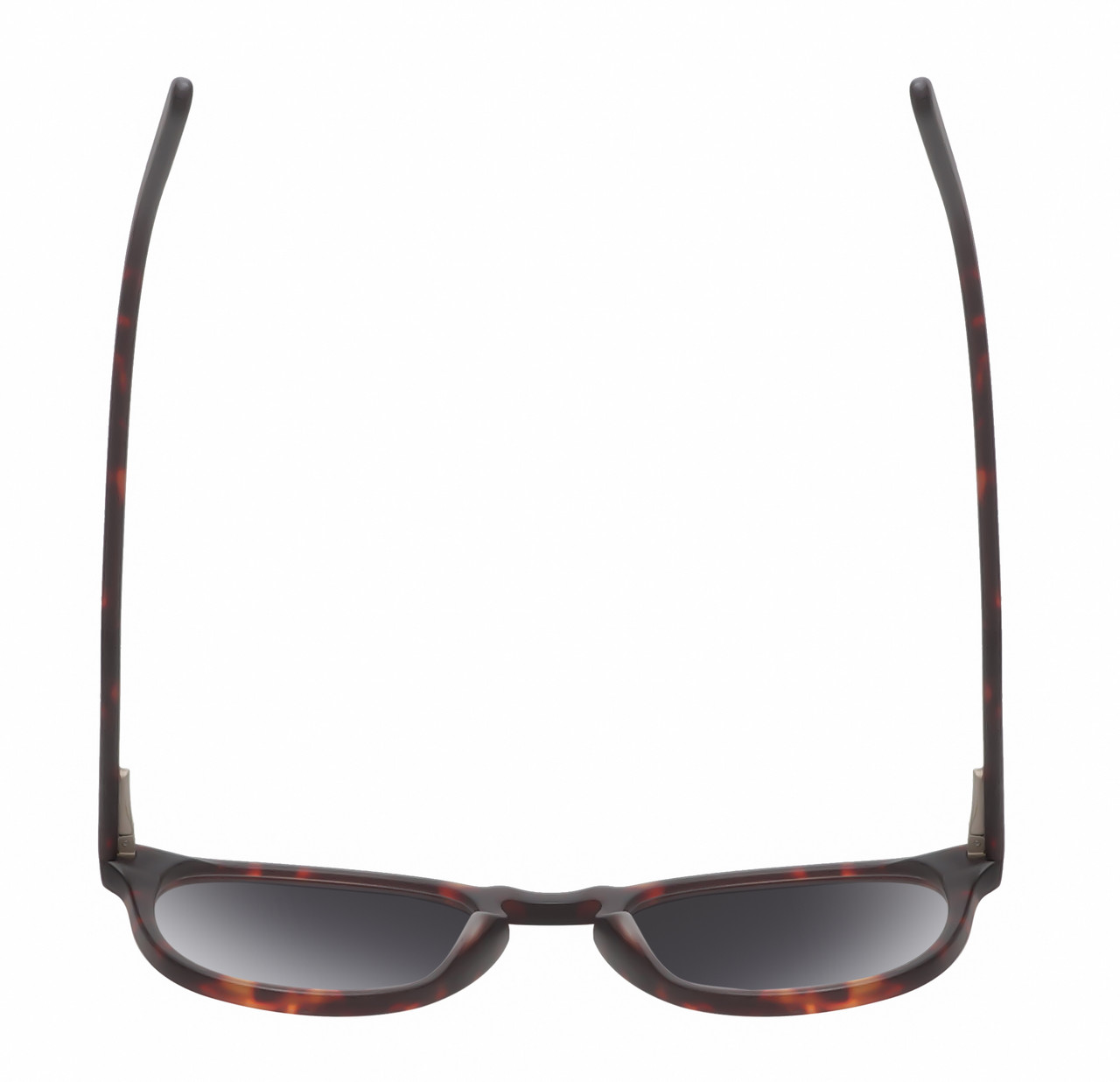 Top View of Reptile Larachelus Designer Polarized Sunglasses with Custom Cut Smoke Grey Lenses in Matte Auburn Brown Tortoise Havana Unisex Panthos Full Rim Acetate 50 mm