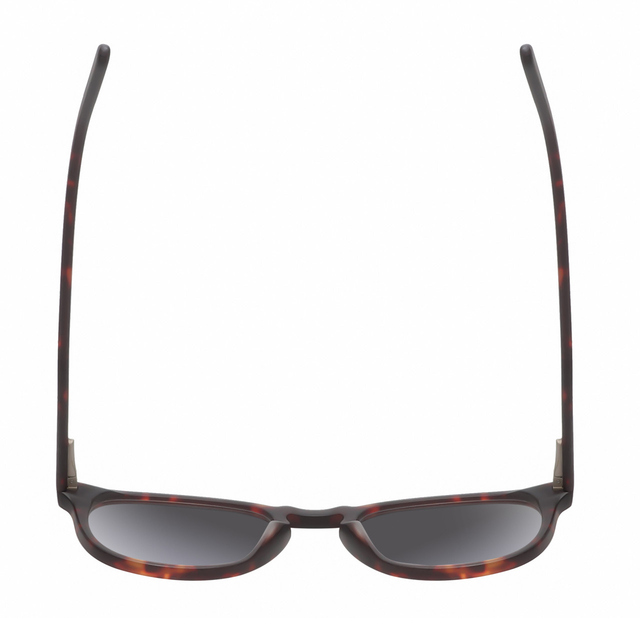 Top View of Reptile Larachelus Unisex Sunglasses Brown Tortoise Havana 50mm 4 Opt. with Custom Cut NON-polarized Grey Gradient Lenses