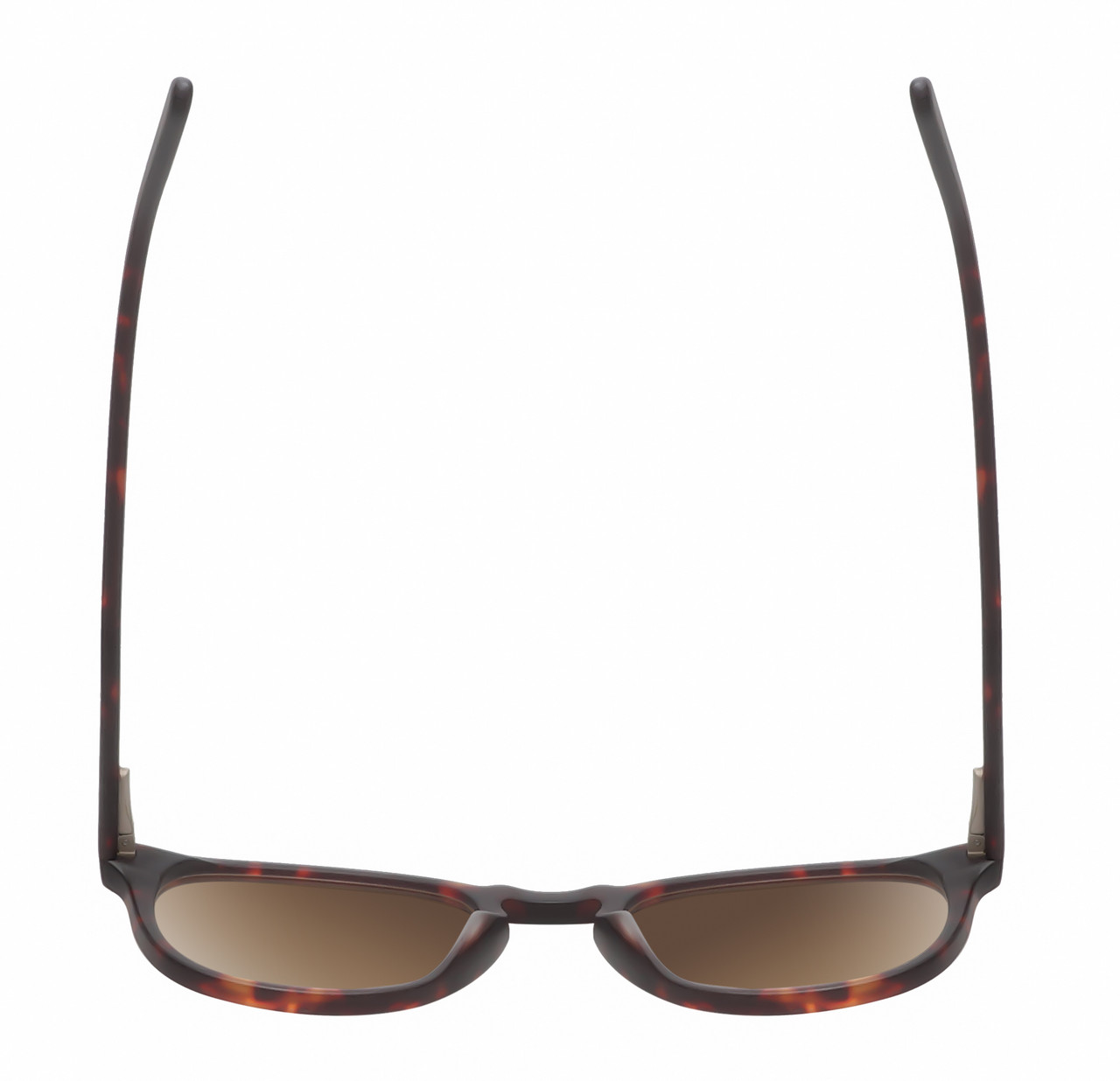 Top View of Reptile Larachelus Unisex Sunglasses Brown Tortoise Havana 50mm 4 Opt. with Custom Cut NON-polarized Brown Gradient Lenses