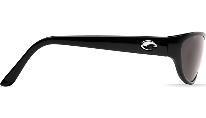 Polarized 580P Sunglasses: Triple Tail 