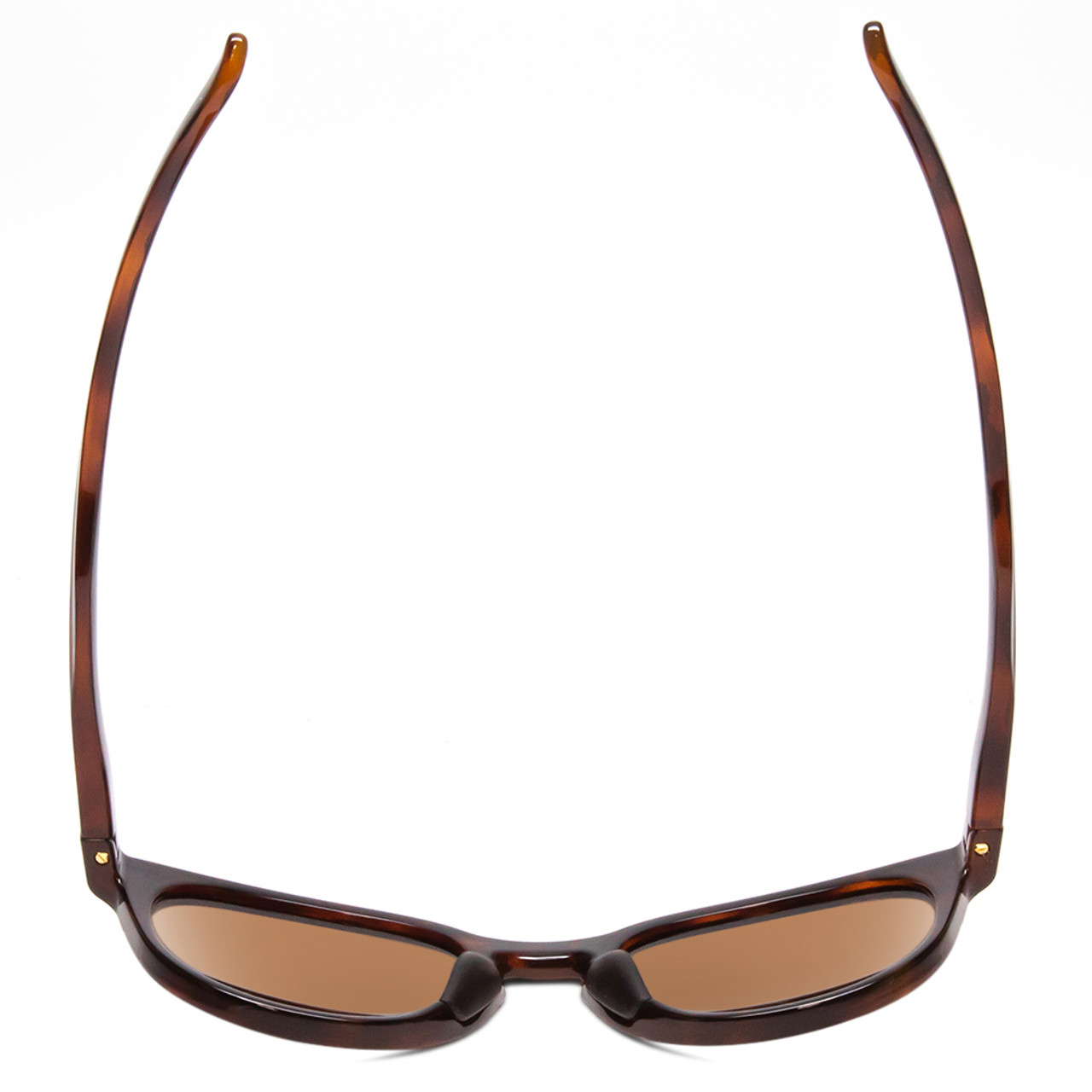 Top View of Smith Eastbank Unisex Round Designer Sunglass Tortoise Gold/Polarized Brown 52mm